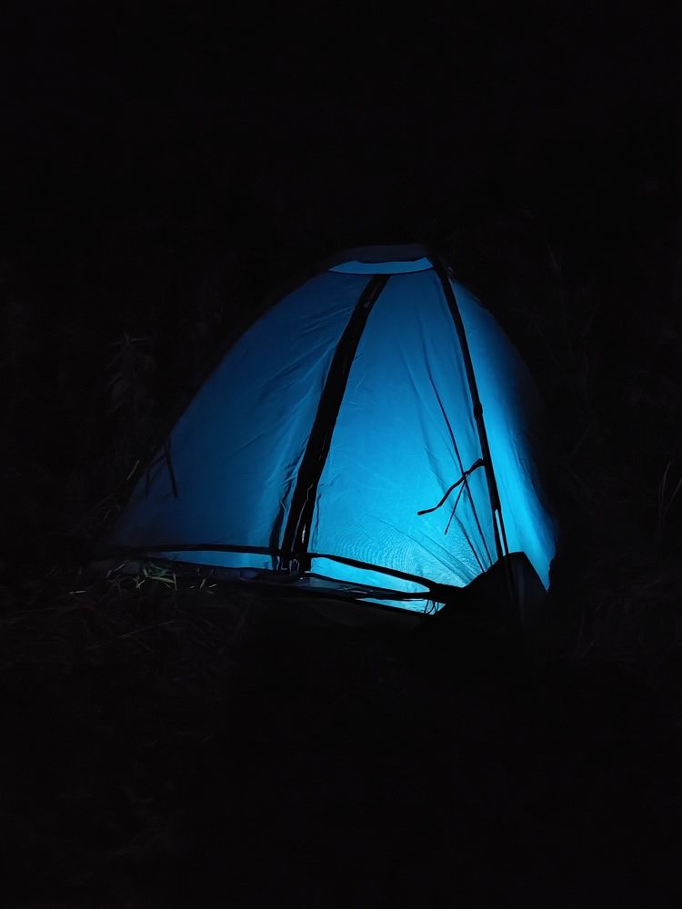 Photograph by Дмитрий Фетисов