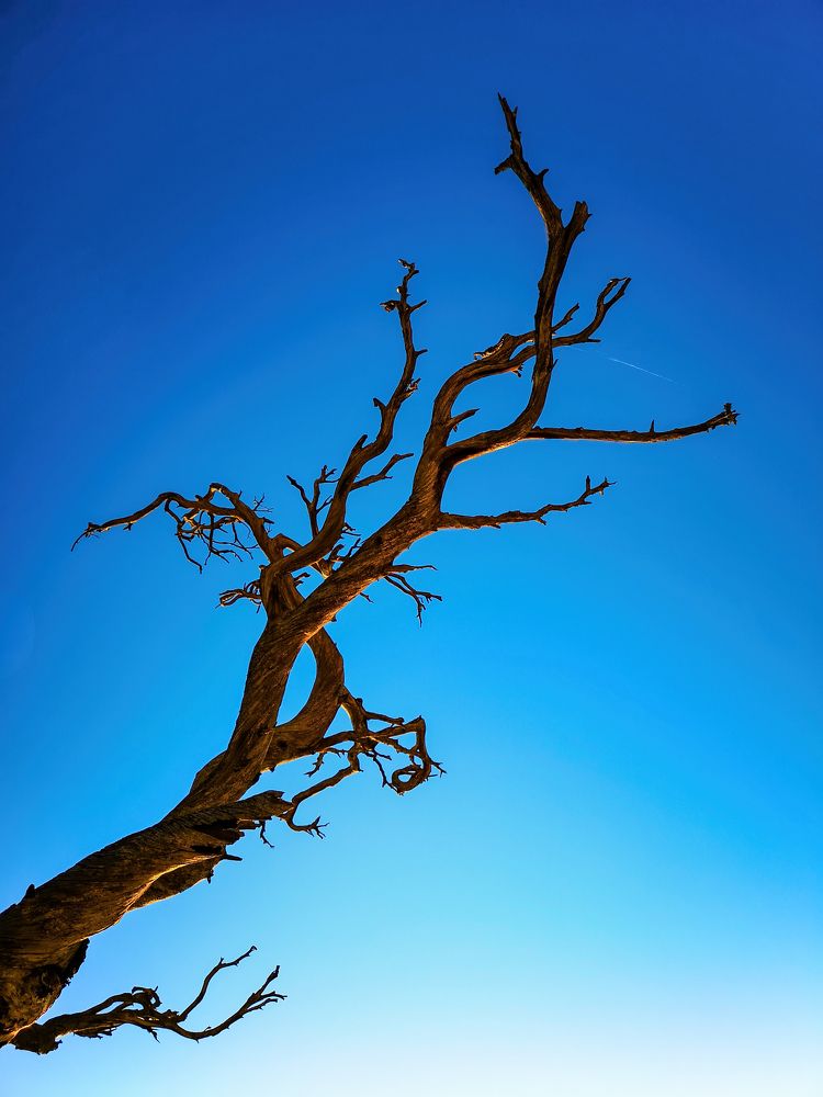 Photograph by Юрий Чернов