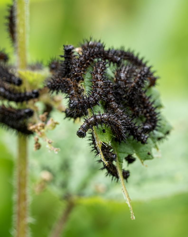 Photograph by Юрий Чернов