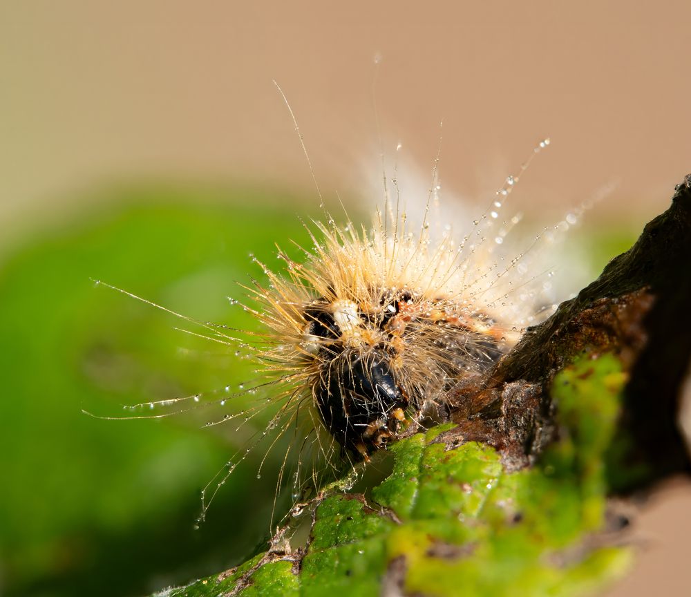 Photograph by Юрий Чернов