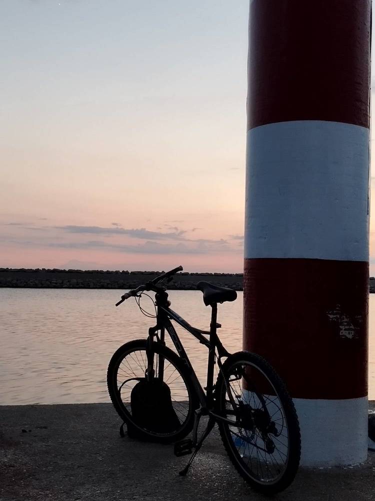 Фотография автора JELENA VASIC