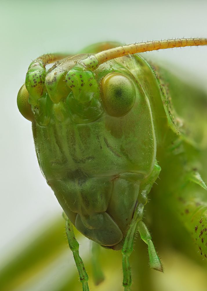 Photograph by Анастасия Подгрушная