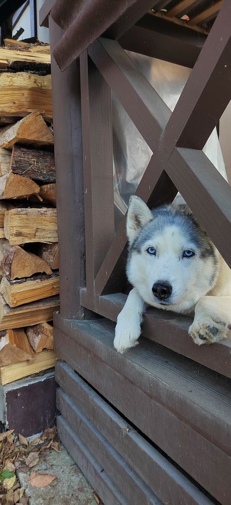 Photograph by Евгения