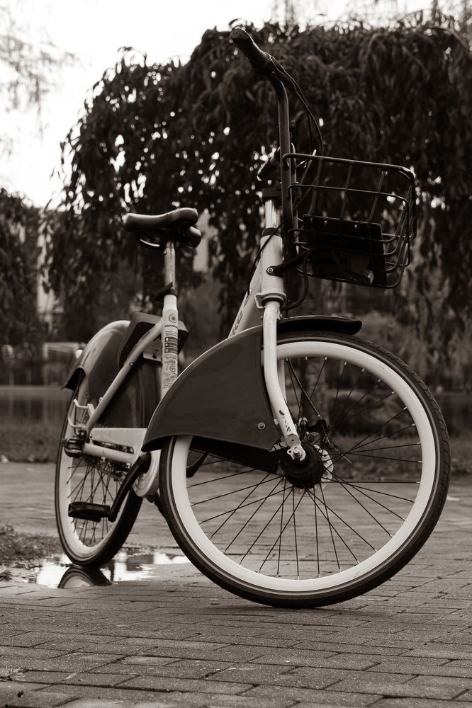 Photograph by Artur Tsvaygenbaum