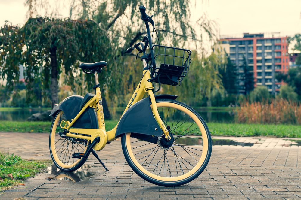 Photograph by Artur Tsvaygenbaum