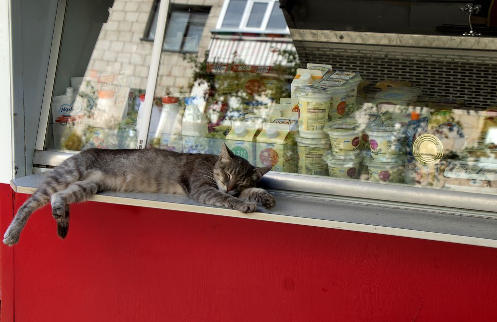 Фотография автора Александр Бичинев