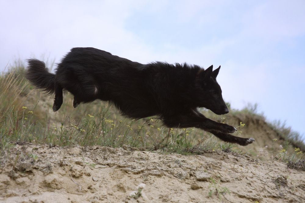 Фотография автора Надежда Лисицына