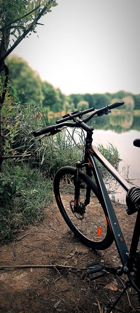 Photograph by Mishel Photographer