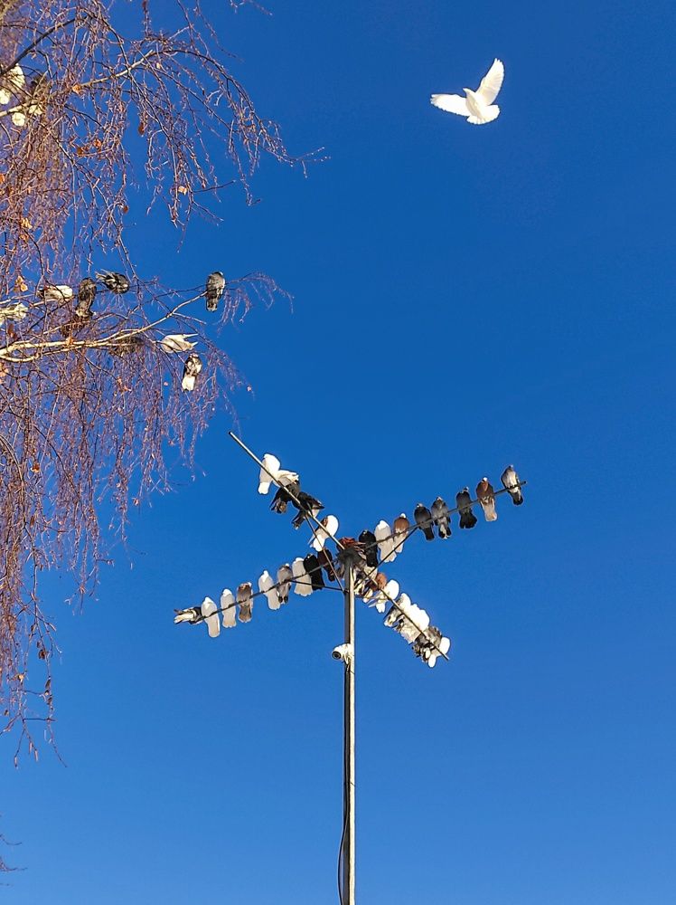 Photograph by Вячеслав Щёголев