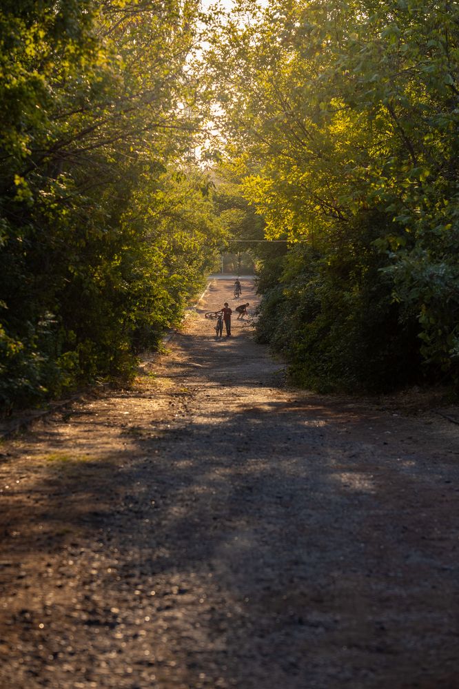 Photograph by Mostafa Moradi