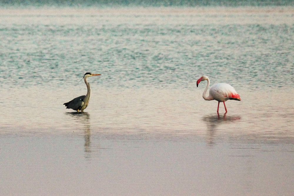 Photograph by Степан Конев