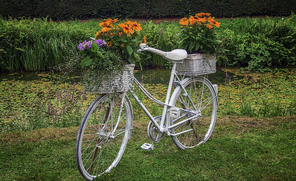 Фотография автора Александр