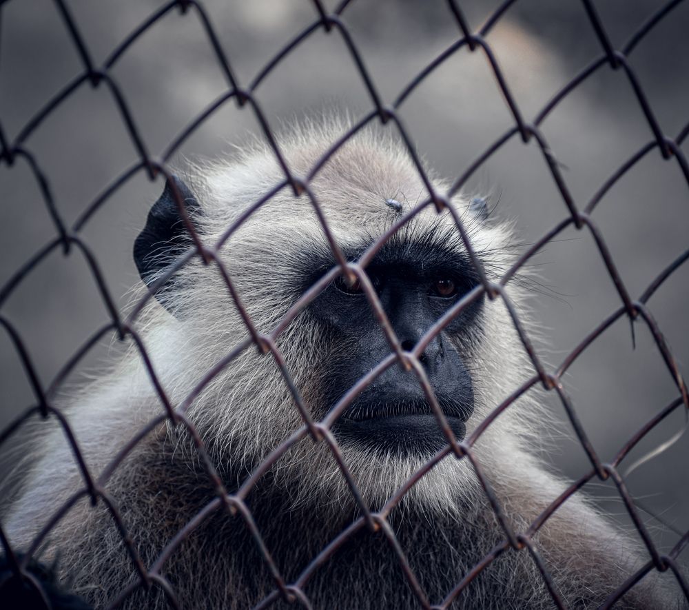 Photograph by AJAY KUMAR