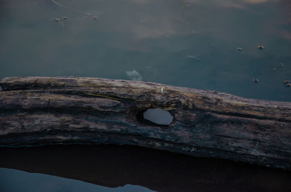 Фотография автора Крутяков Арсений