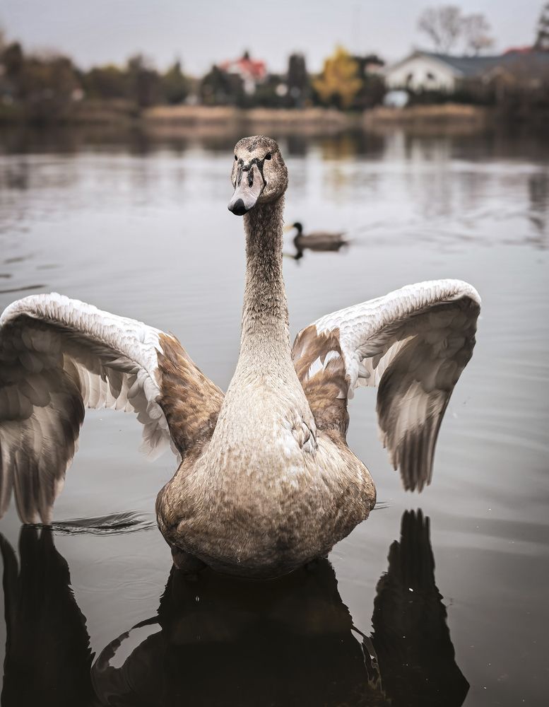 Фотография автора Юра Кладухин