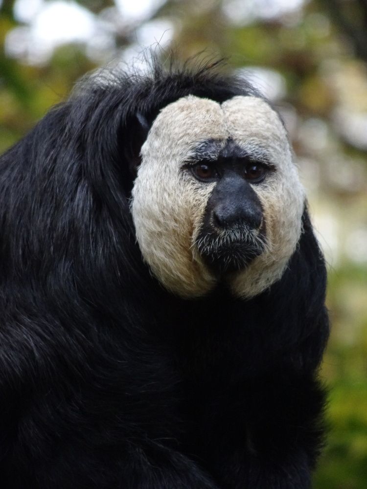 Photograph by Мила Милая