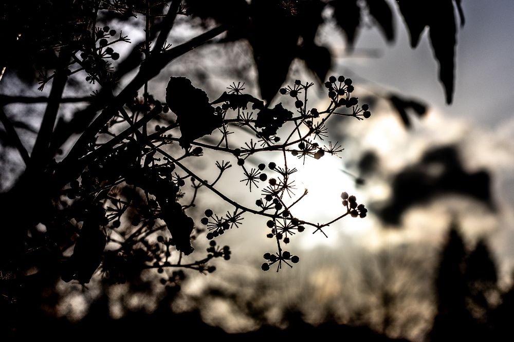 Photograph by Анна Сорокина