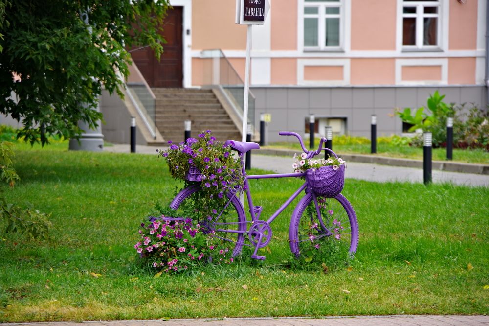 Photograph by Алексей Бородинов