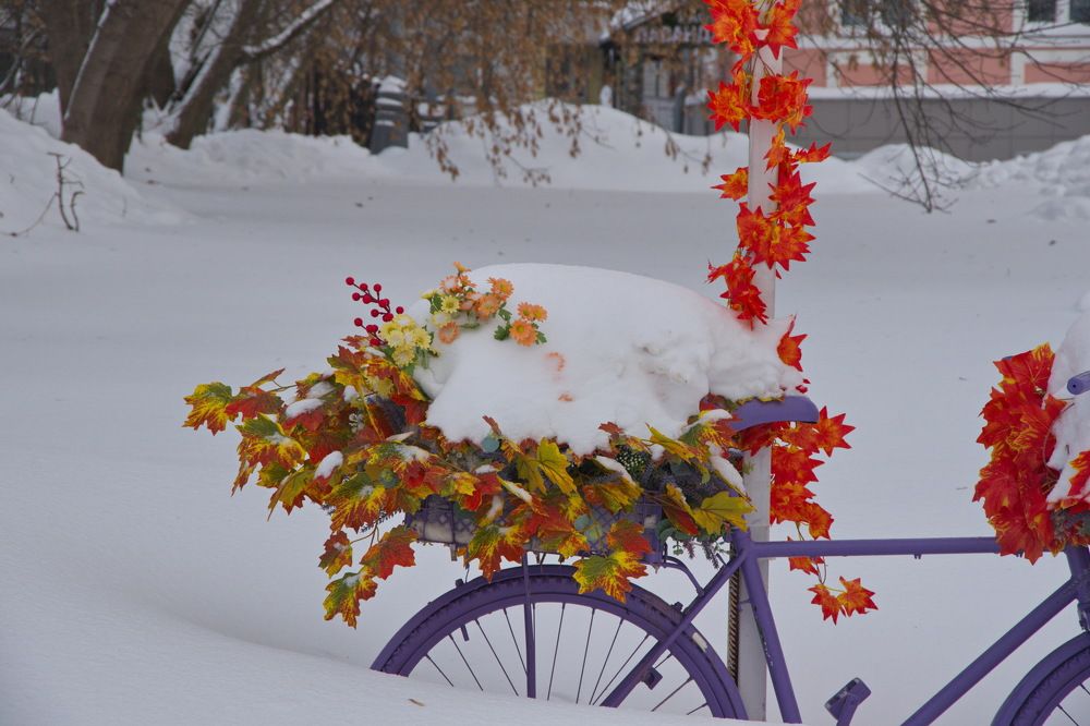 Photograph by Алексей Бородинов