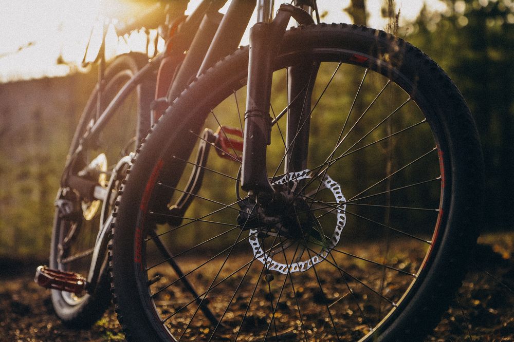 Фотография автора Дарина Чечулина