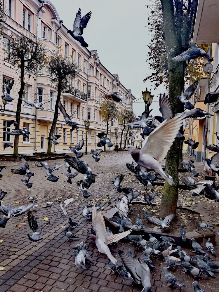 Фотография автора Александр Сипаров