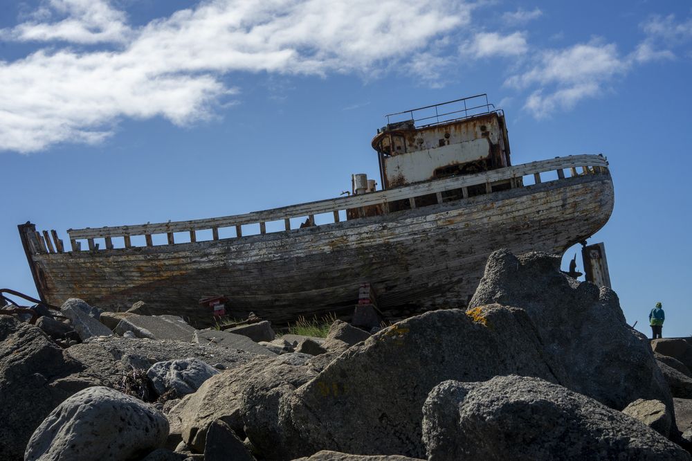 Фотография автора Ирина Зайцева