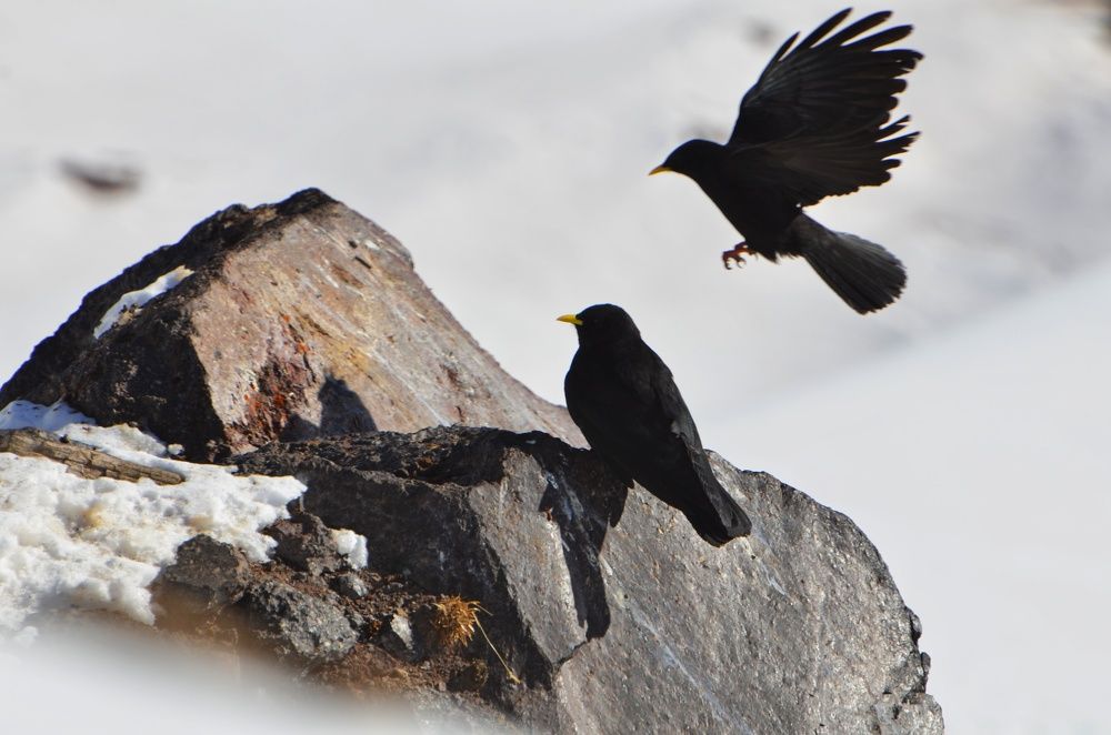 Photograph by Margareth Tikhonova