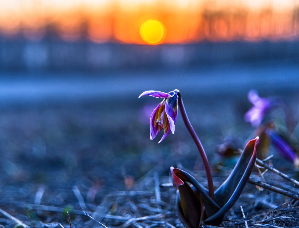 Photograph by Виктор Садырин