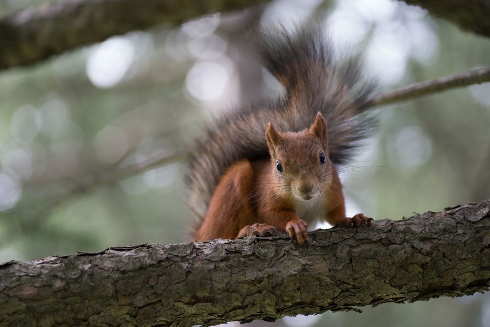 Photograph by Павел Новосёлов