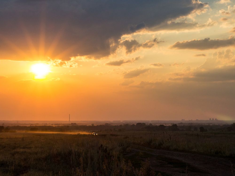 Фотография автора Дарья Рогозина
