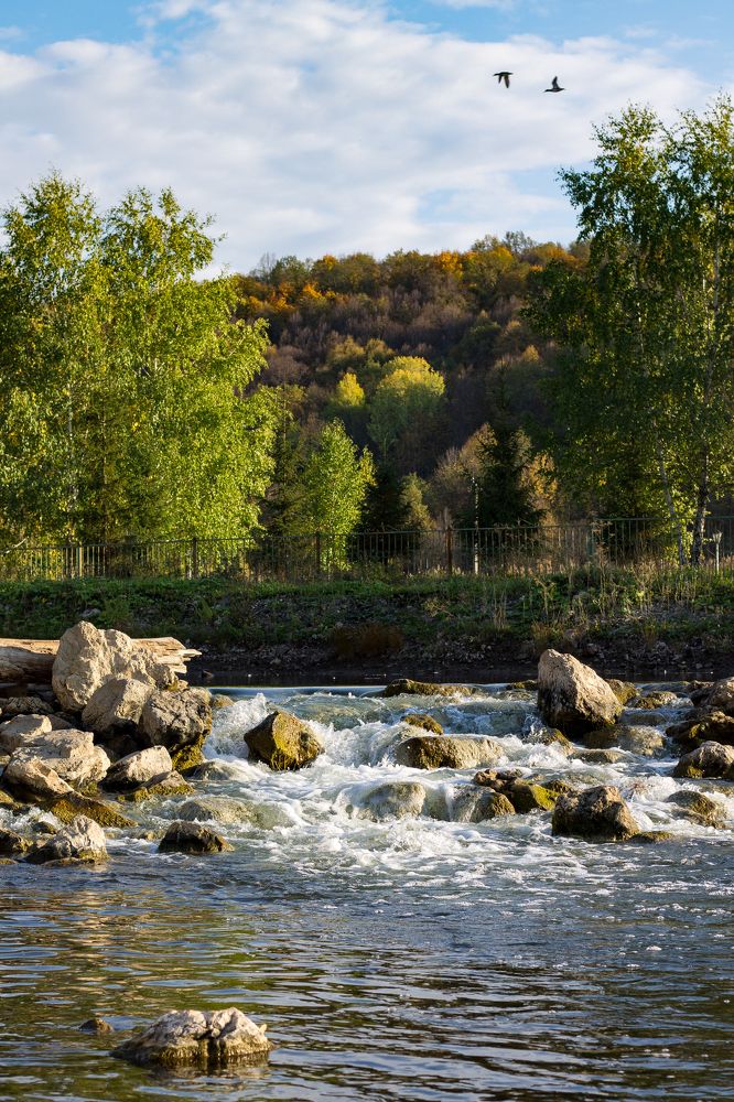 Фотография автора Дарья Рогозина