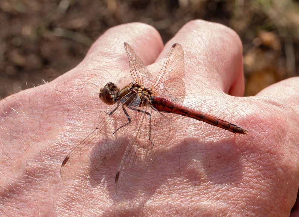 Photograph by Павел Новосёлов