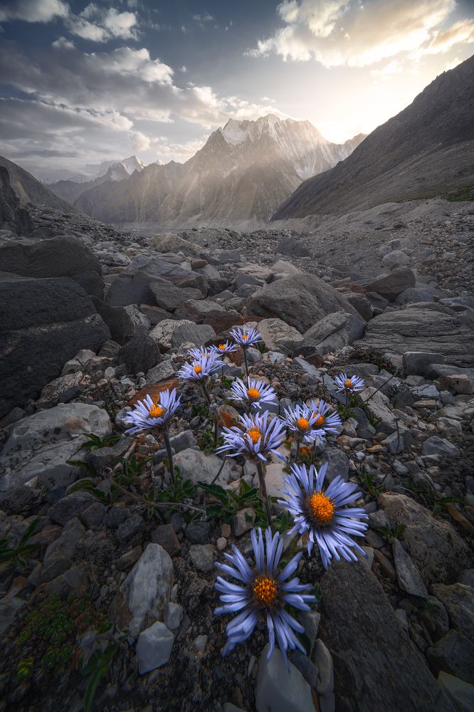 Summertime in Tianshan Mountains