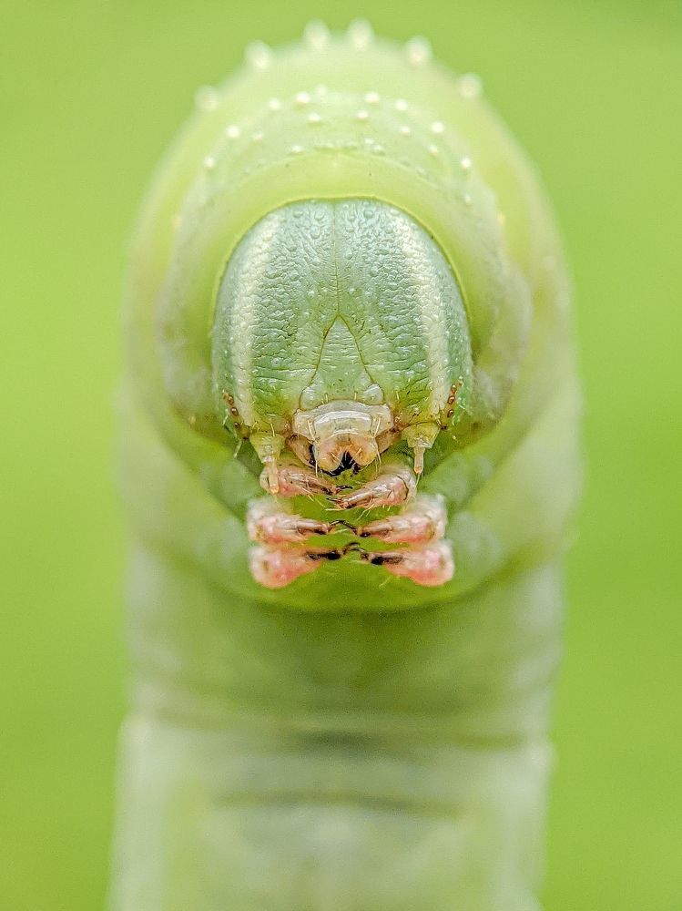 Photograph by Akash Pani