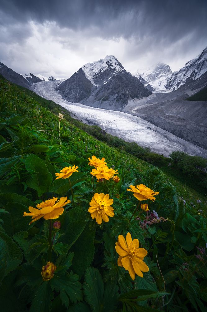Summertime in Jengish Chokusu