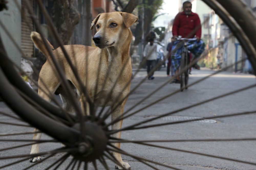 Photograph by Ghadir Vaghari
