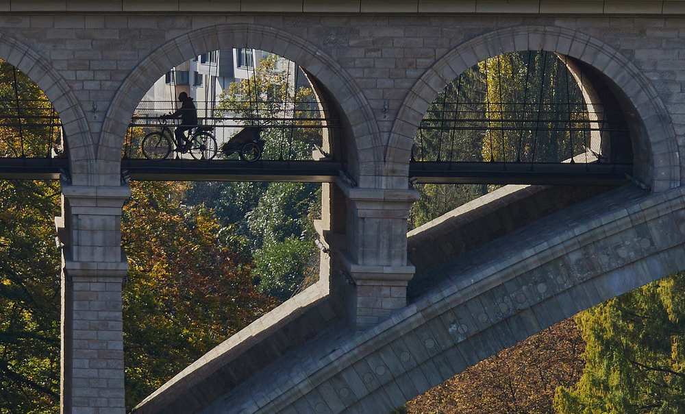 Фотография автора Ekaterina Palant