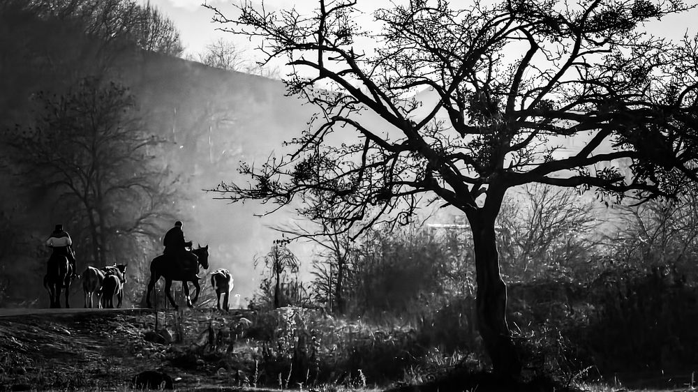 Фотография автора Ахмат Байсиев