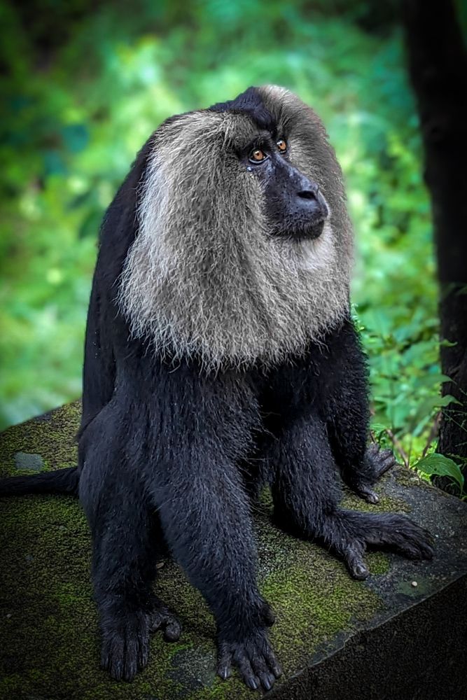 Photograph by SARAVANA MANICKAM