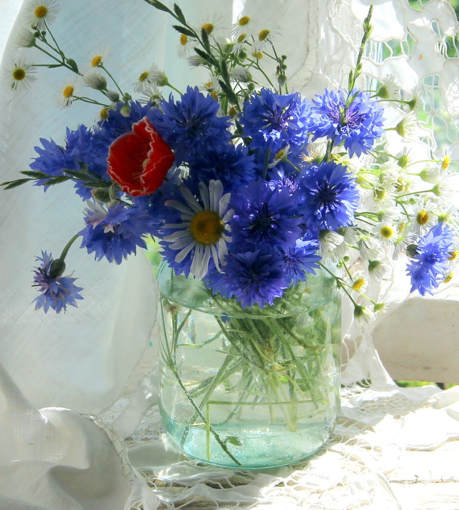 Photograph by Жанна Нечаева