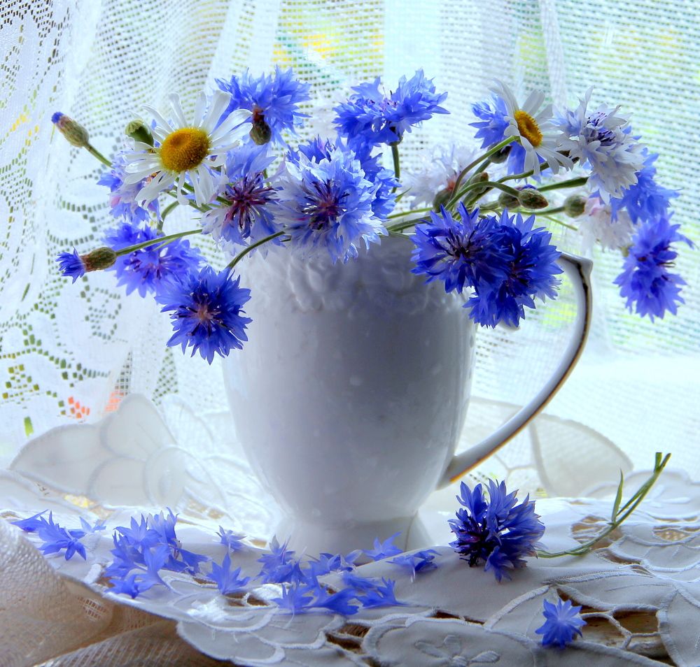 Photograph by Жанна Нечаева