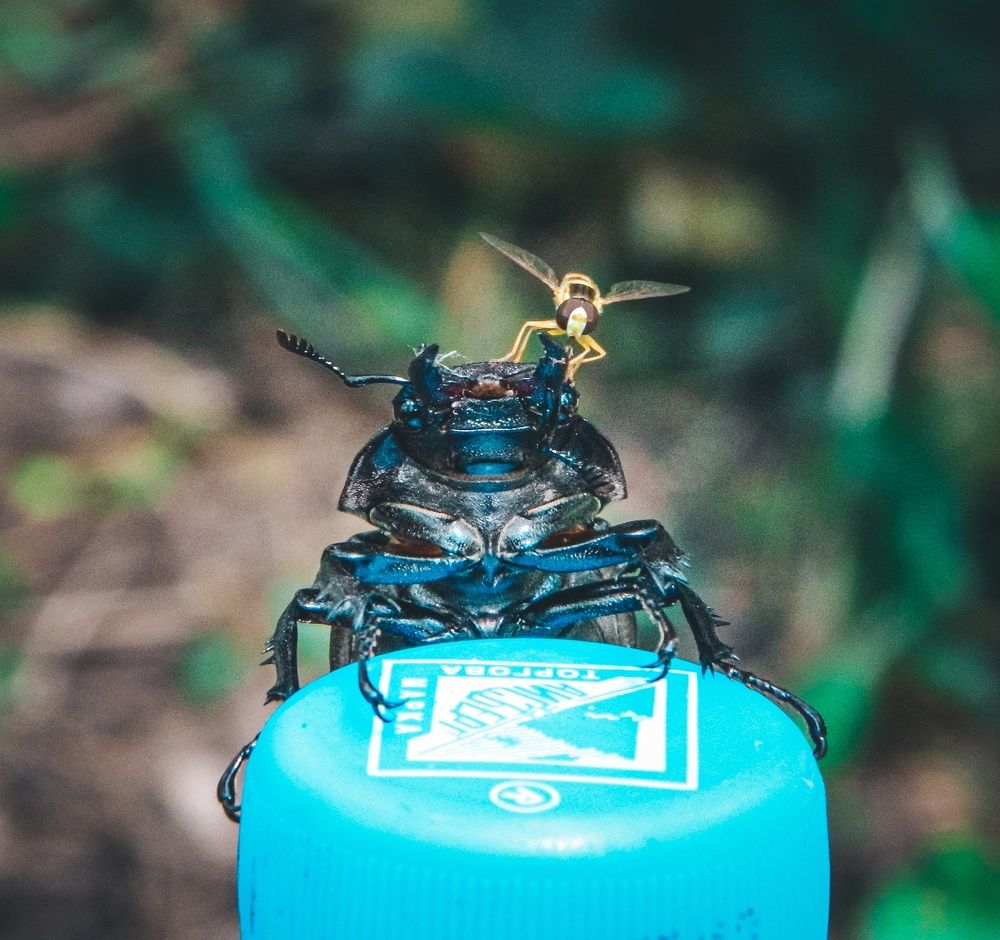 Photograph by Катерина Сорокина