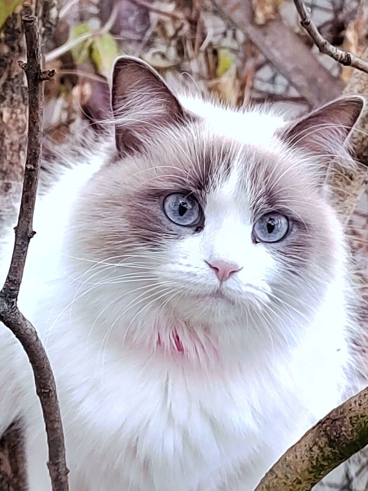 Photograph by Куделенко Оксана