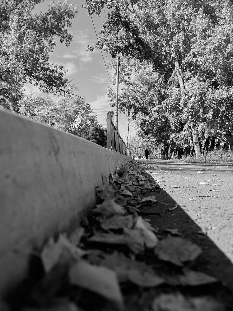 Photograph by Алексей Швецов