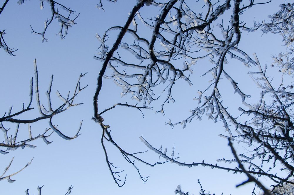 Photograph by Юрий Юрченко