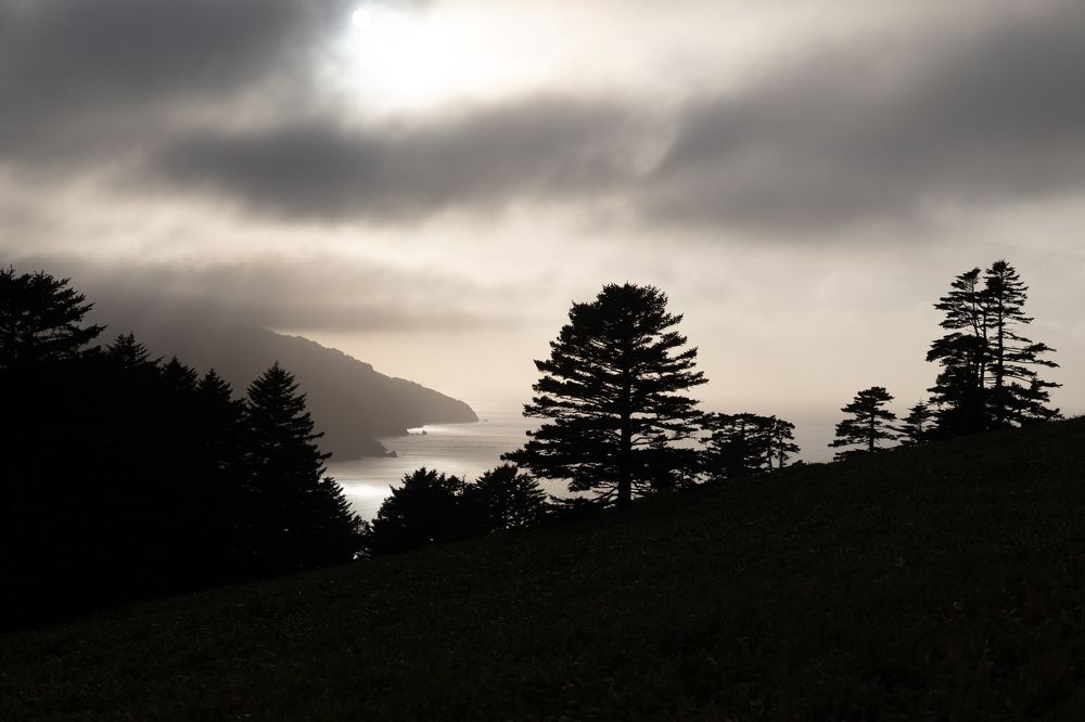 Photograph by Анна Сорокина