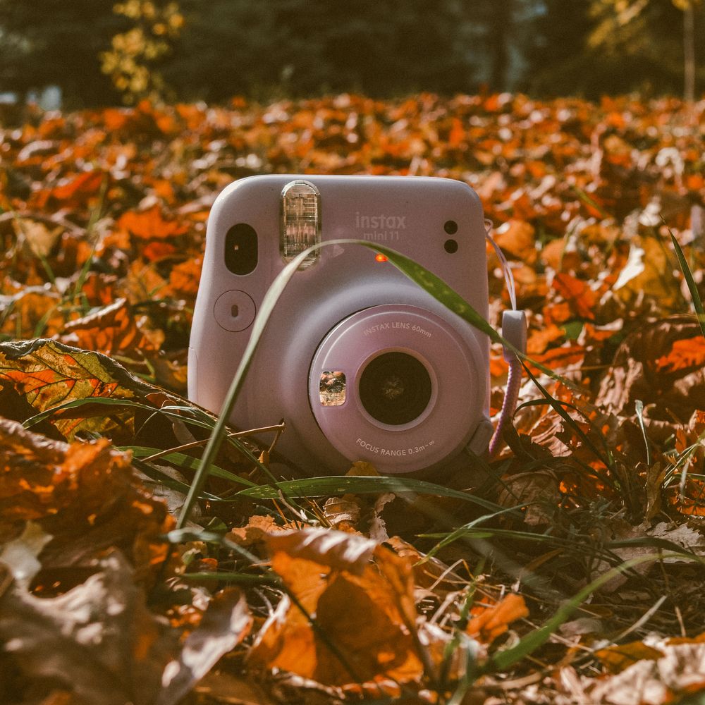 Photograph by Катерина Сорокина