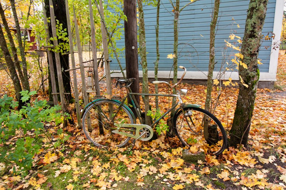 Photograph by Elena Noeva