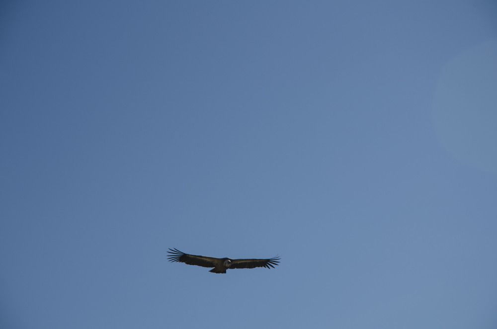 Photograph by Юрий Юрченко