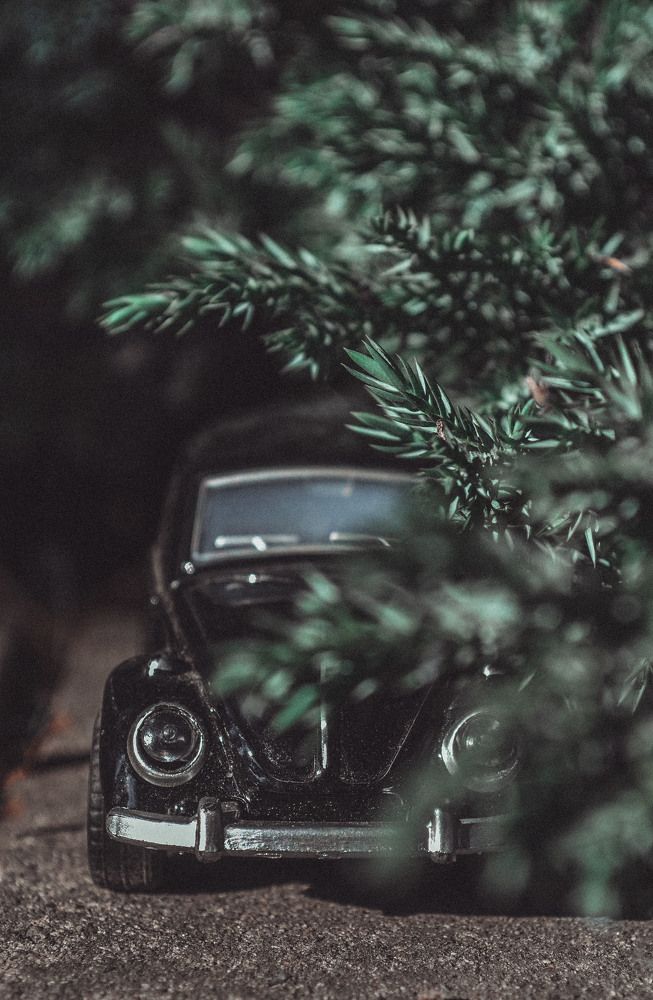 Photograph by Катерина Сорокина